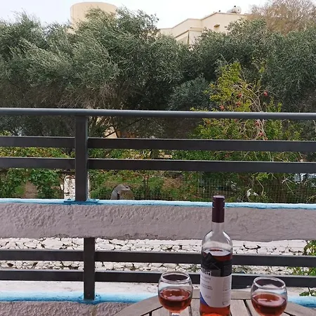 New Wave * Palaiochora